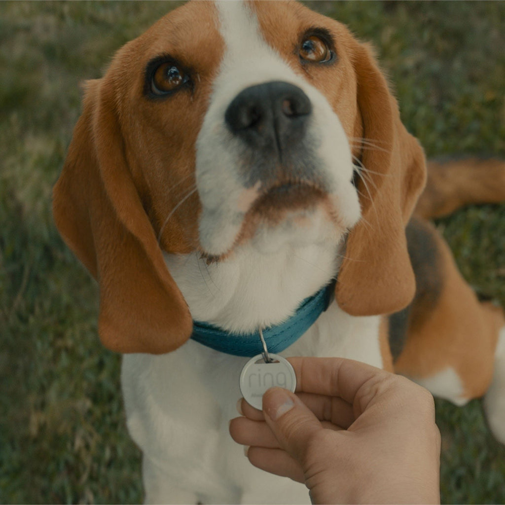 Pet Tag
