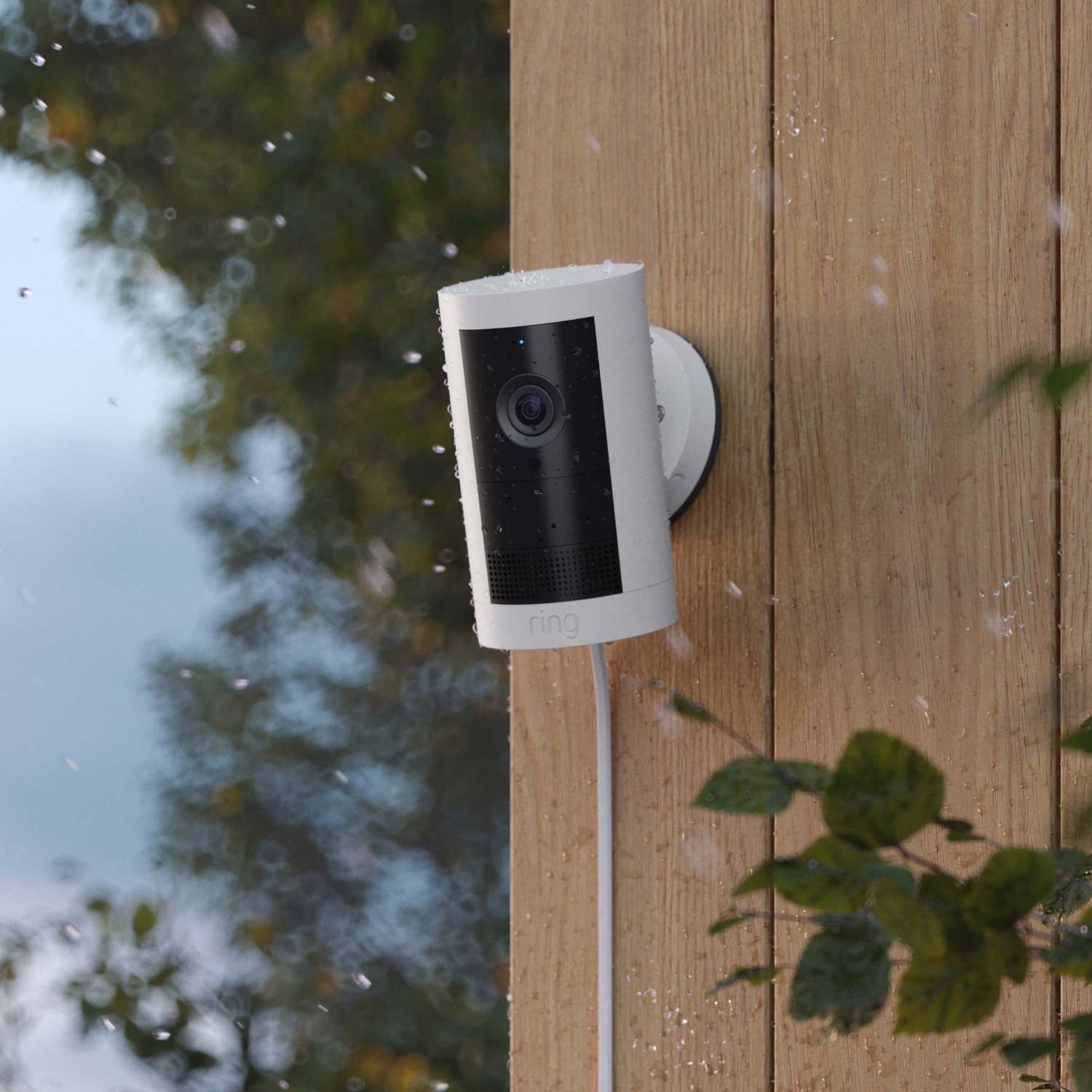 Outdoor Cam Plus Plug-In + Pan-Tilt Indoor Cam