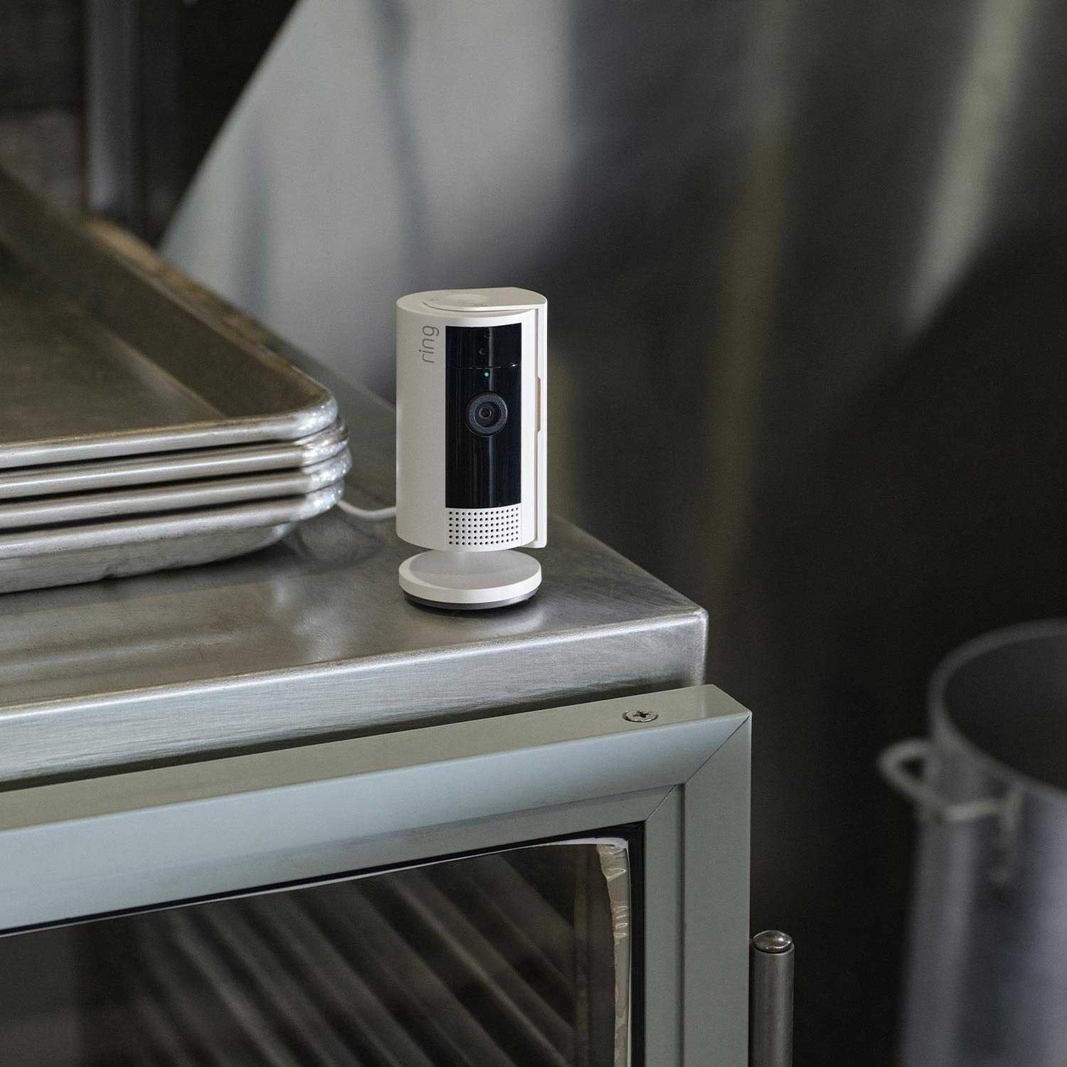 Restaurant Starter Kit (Plug-In) (Outdoor Cam Plus Plug-In + Indoor Cam)