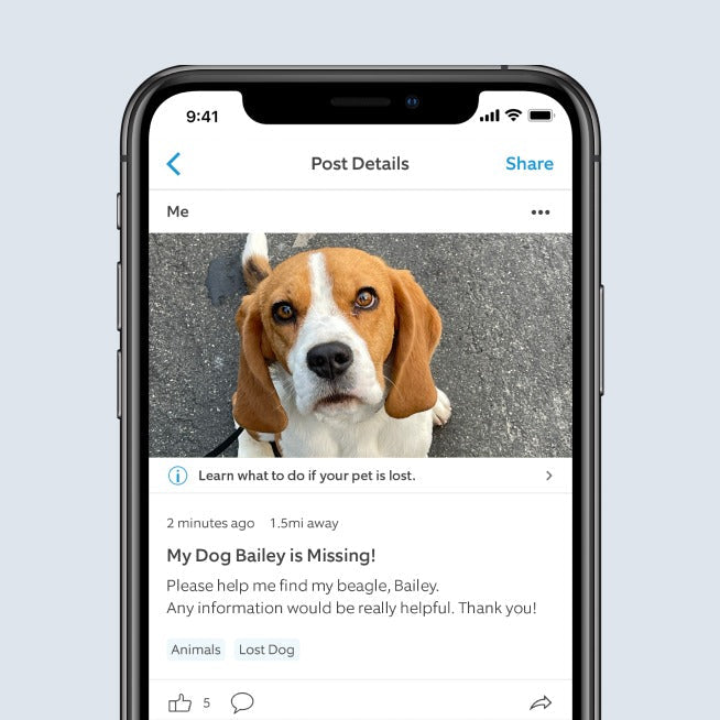 Pet Tag