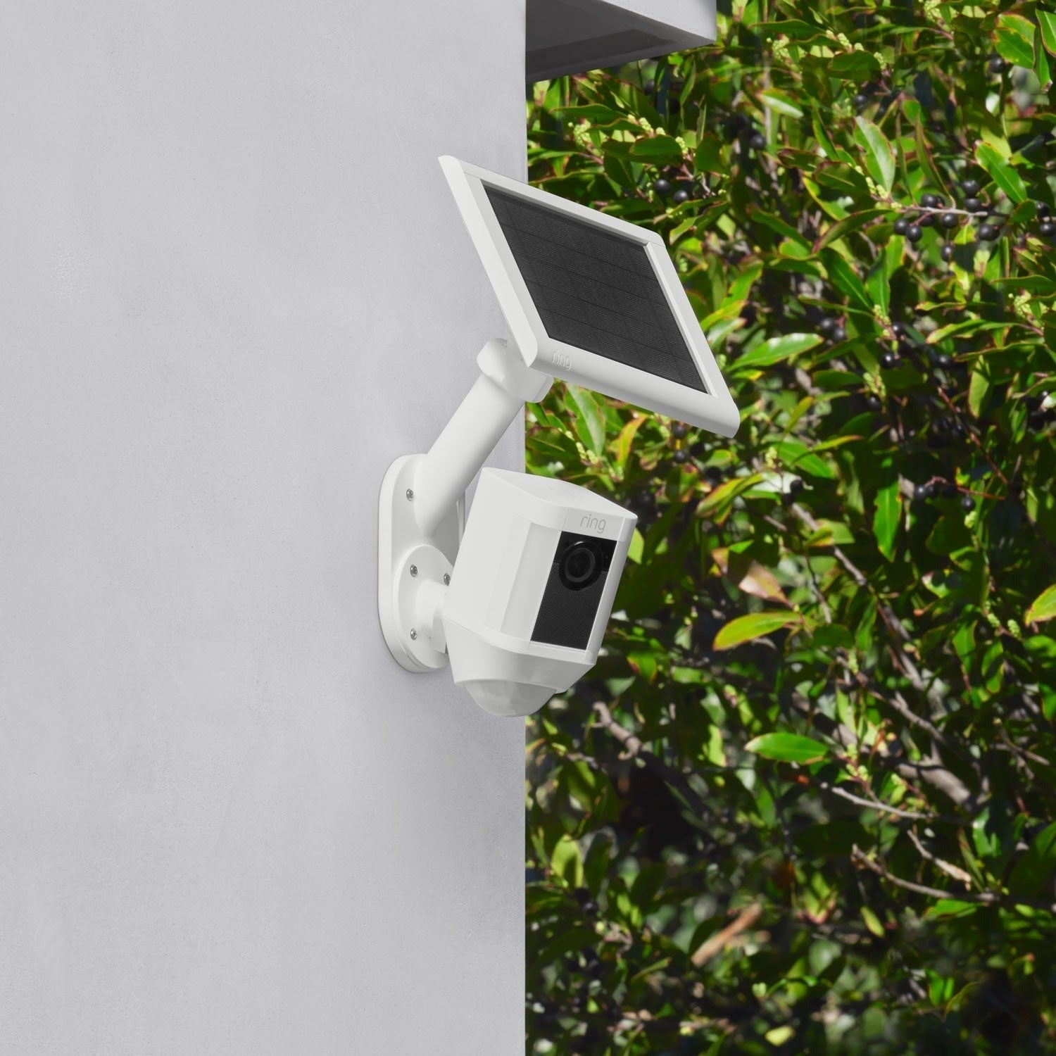 Wall Mount for Solar Panels and Cameras