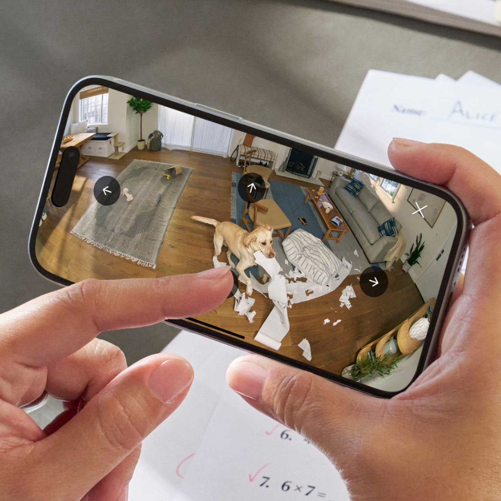 Outdoor Cam Plus Battery + Pan-Tilt Indoor Cam