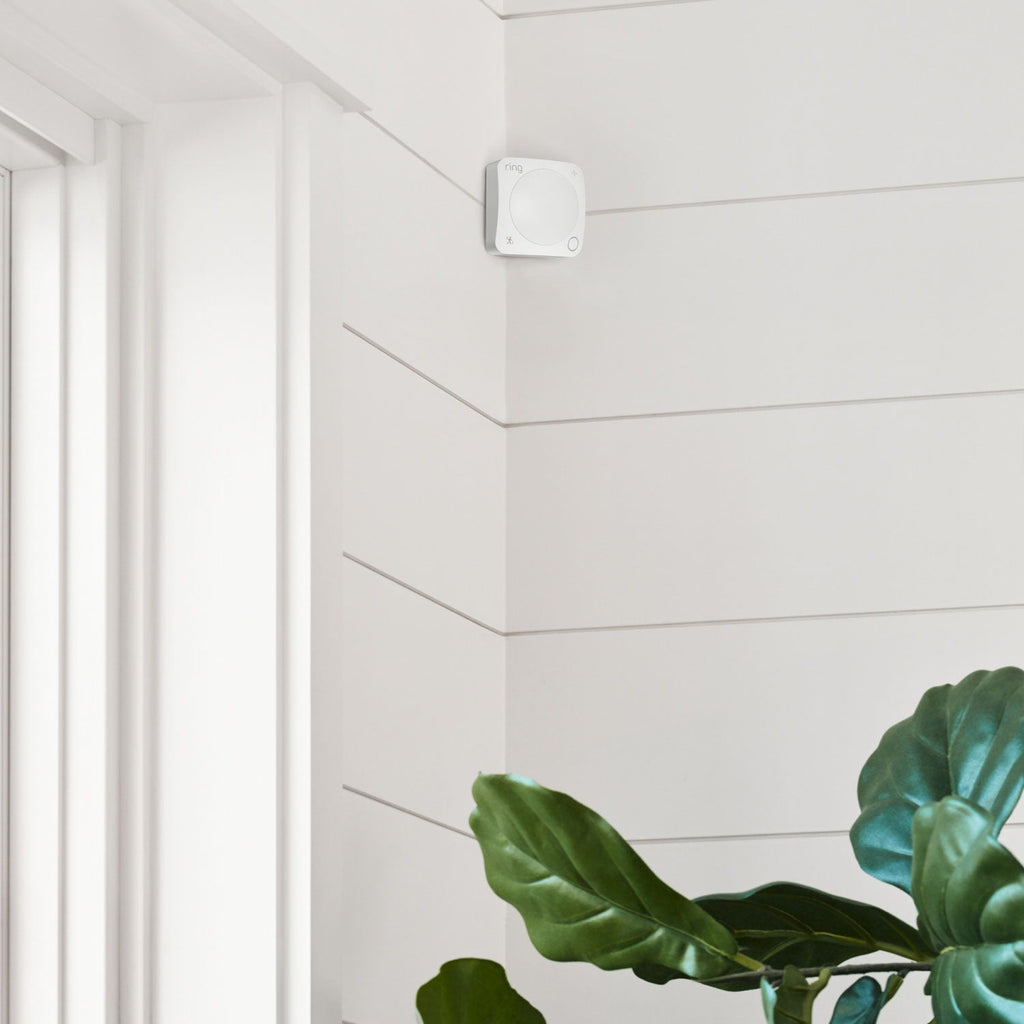 Motion Detector (Newest Model)