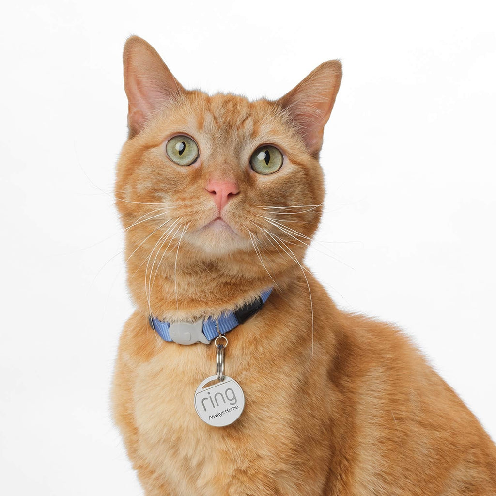 Pet Basic Kit (Indoor Cam (2nd gen) + Pet Tag)