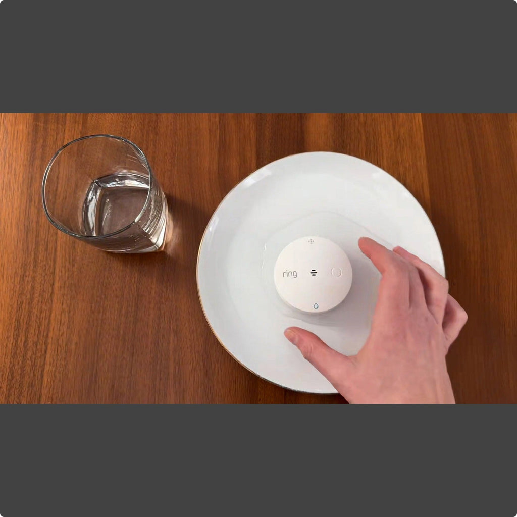 Flood & Freeze Sensor (Newest Model)