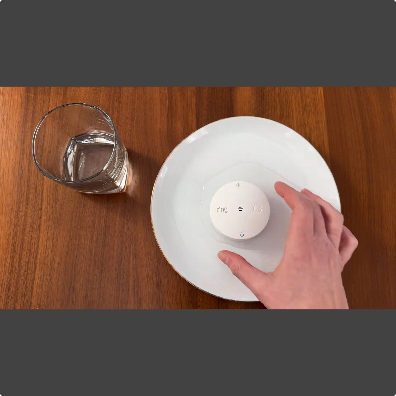 Flood & Freeze Sensor (Newest Model)