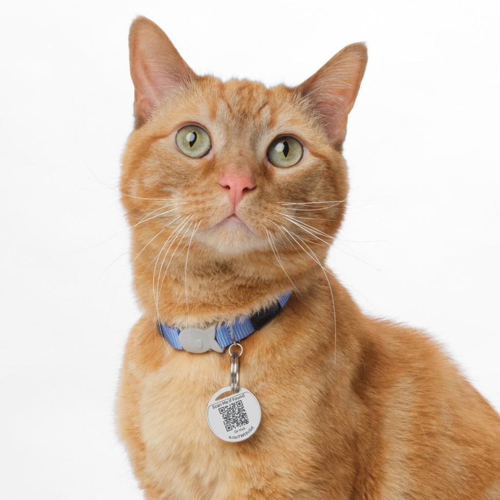 2-Pack Pet Tag