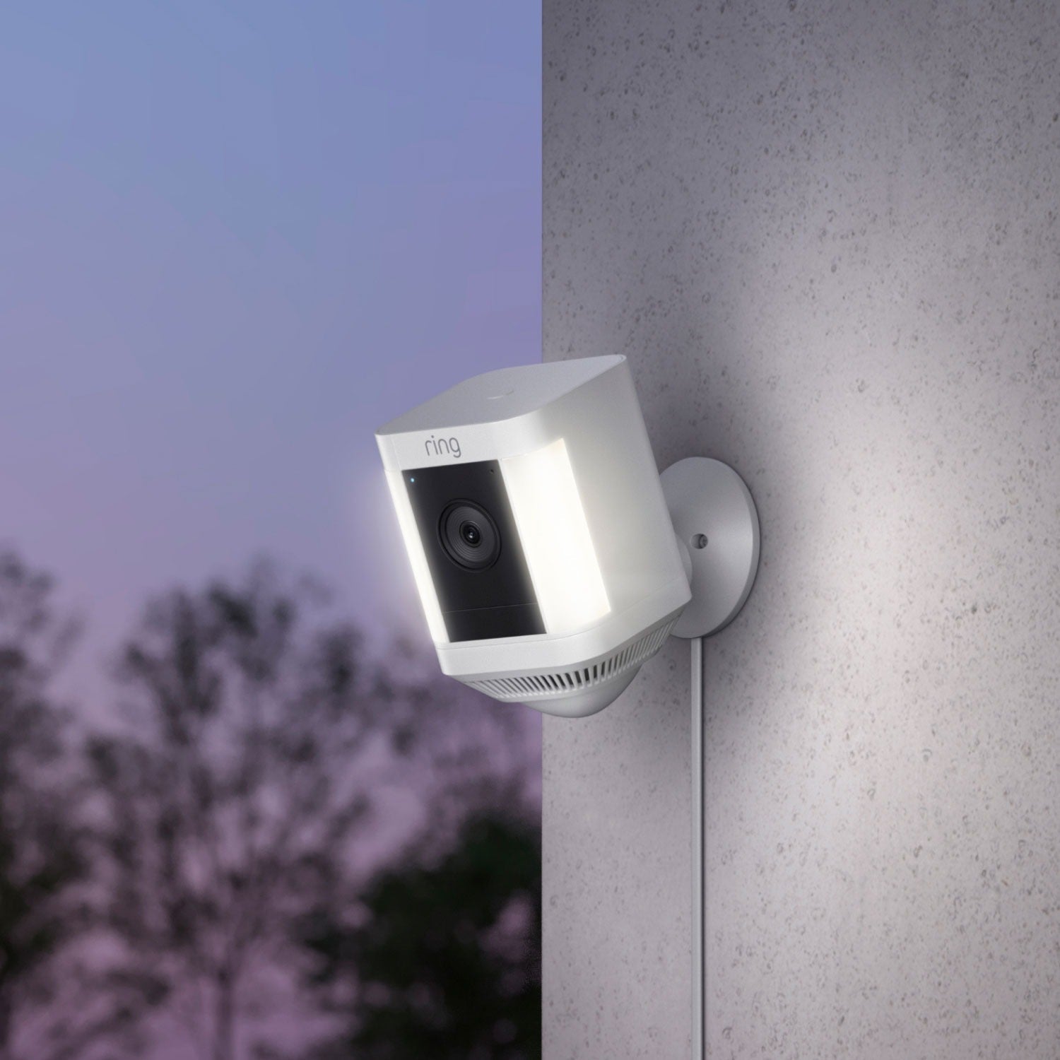 Pan-Tilt Indoor Cam + Spotlight Cam Plus Plug-In