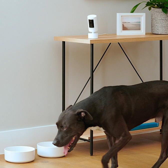 Indoor/Outdoor Pan-Tilt Mount (for Outdoor Cam (Stick Up Cam) Plug-In, 3rd Gen)
