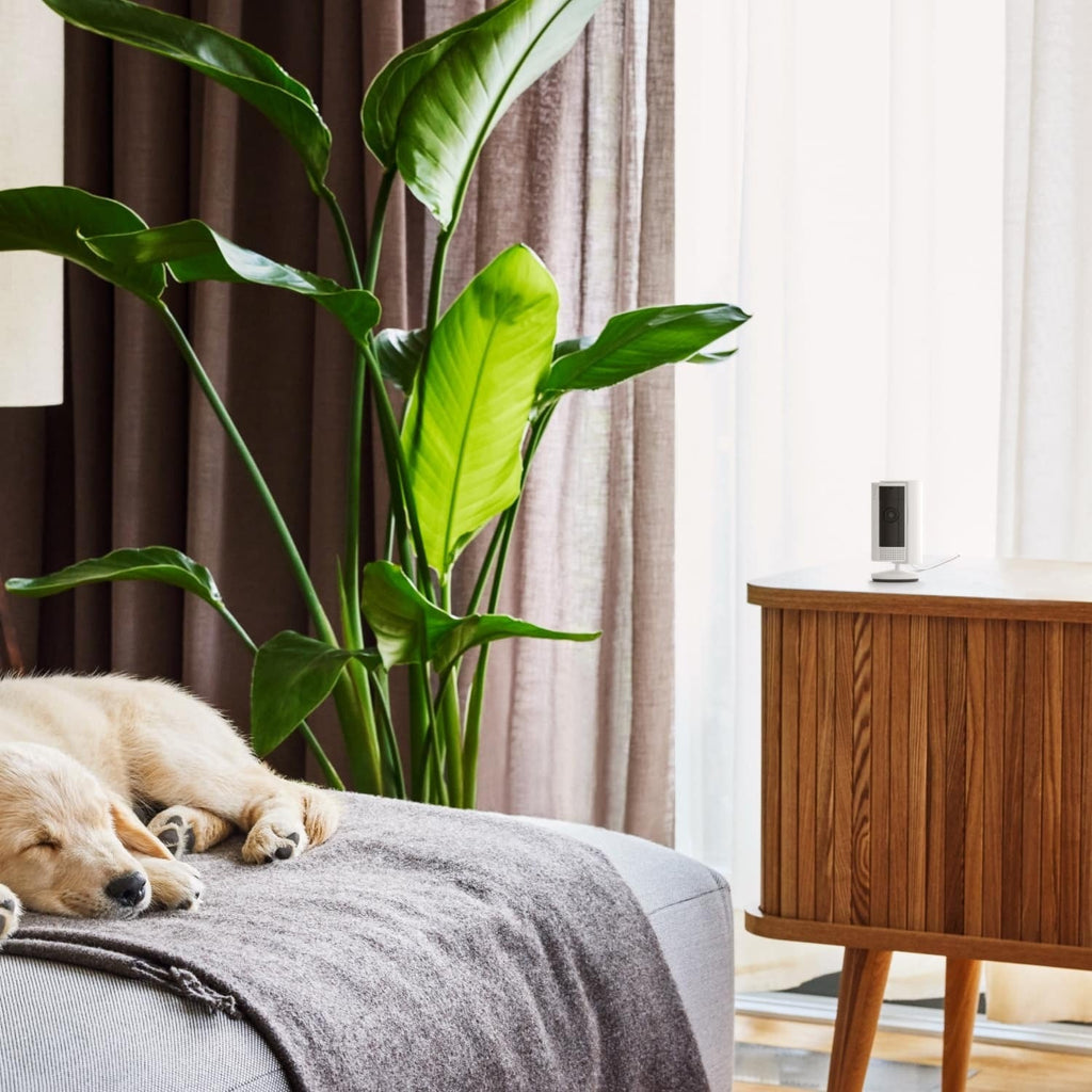 Whole-Home Starter Bundle