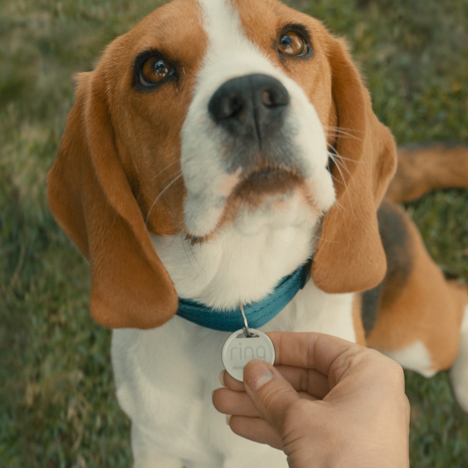 Pet Enhanced Kit (Pan Tilt Indoor Cam with Pet Tag)